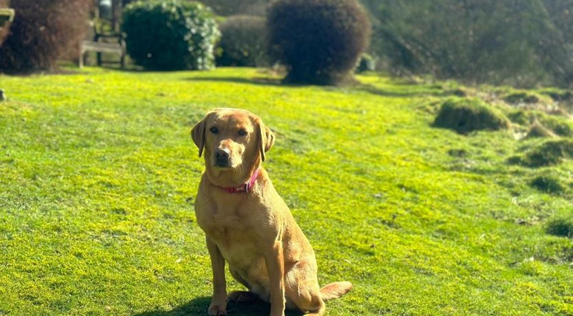 Photo of 1 Bed in Far Sawrey