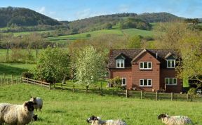 Photo of Wing in Shropshire