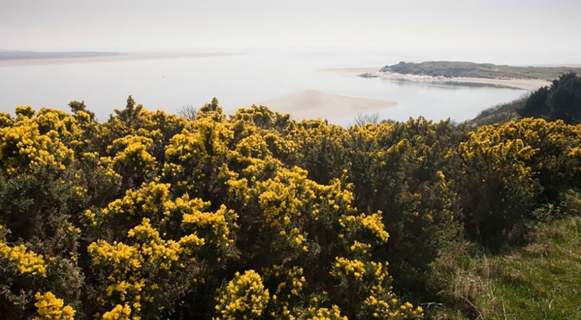 Photo of Bryn Y Mor,  Borth Y Gest