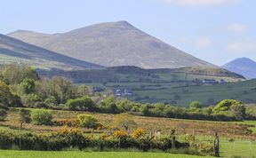 Photo of Hafod