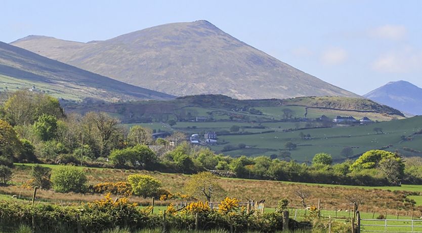 Photo of Hafod