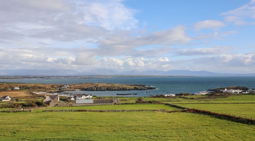 Photo of Cabbage Patch