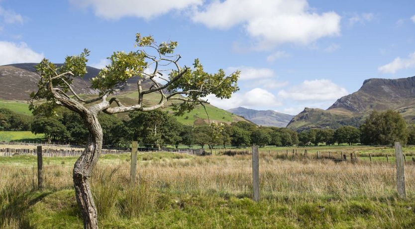 Photo of 17 Victoria Terrace - Perthi