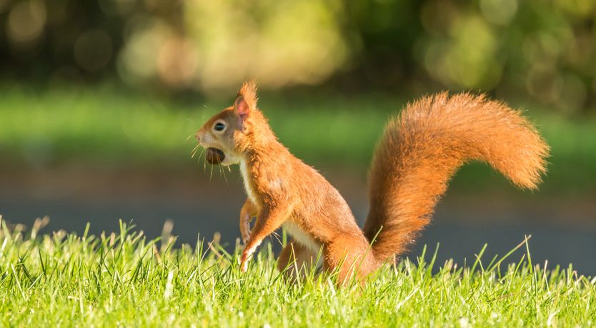 Photo of Tan Twr Farm Cottage