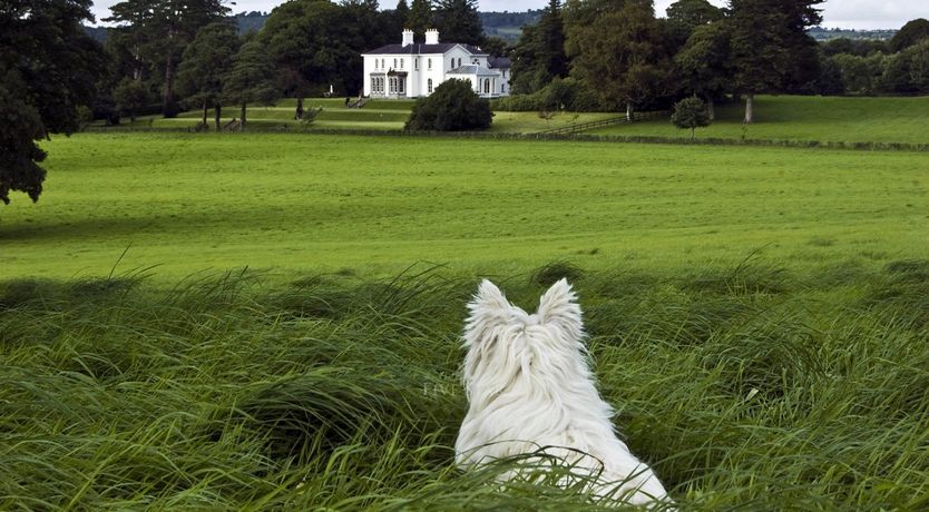 Photo of Killarney Lakes Villa