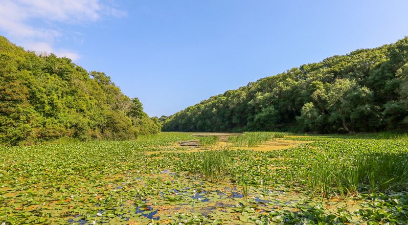 Photo of Cranford Cottage
