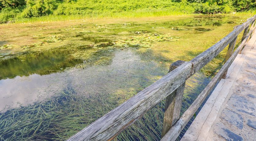 Photo of Cranford Cottage