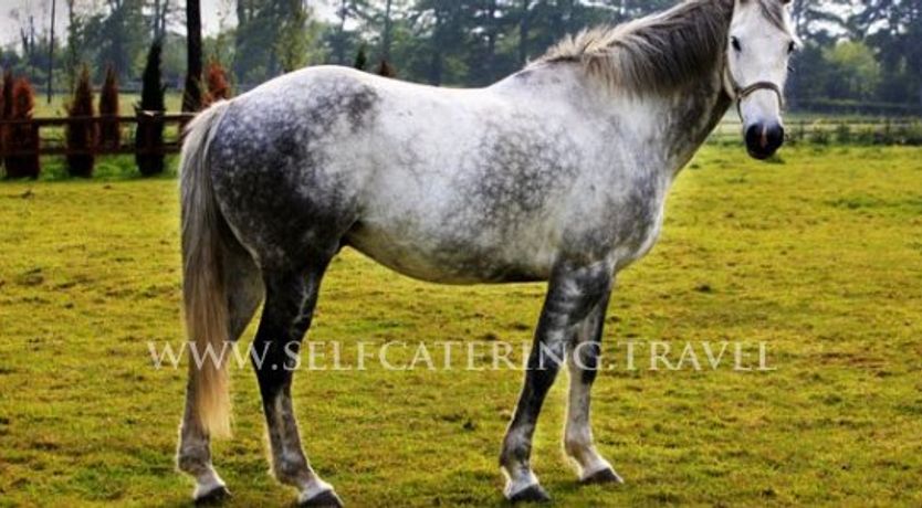 Photo of Wedding Venues