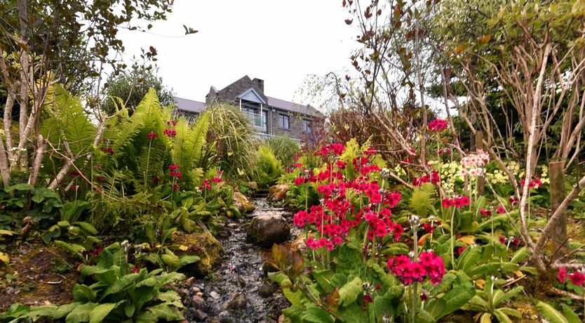 Photo of West Cork Ocean View 