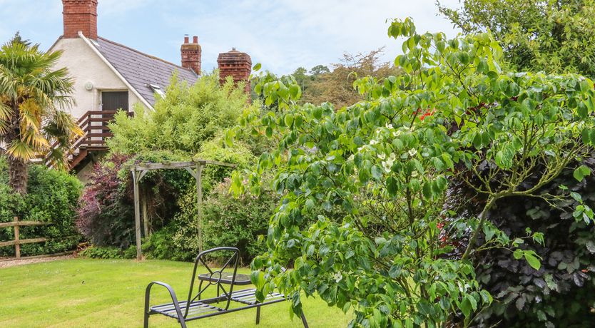 Photo of Fig Trees - Wibble Farm