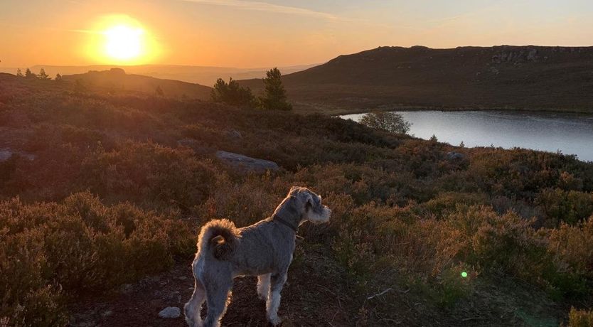 Photo of 3 Bed in Harbottle