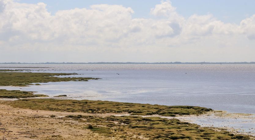 Photo of Shorefields Two