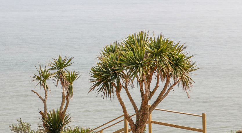 Photo of Beach House