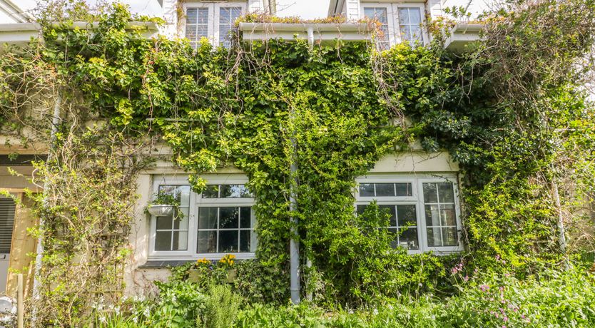 Photo of Summer Breezes