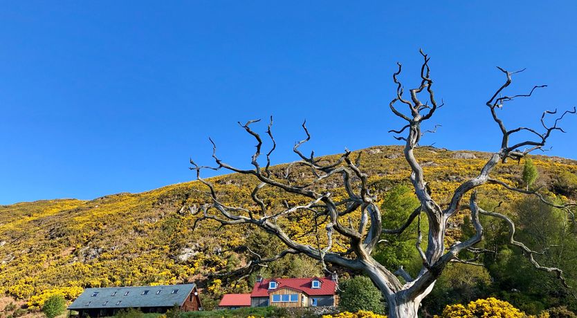 Photo of Nan's Cottage