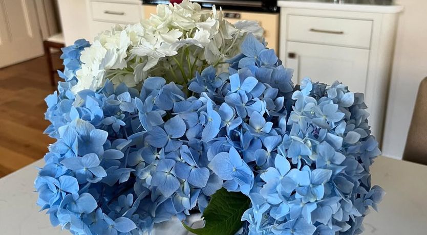 Photo of Wexford House and Gardens