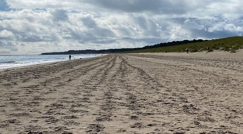 Photo of Wexford House and Gardens