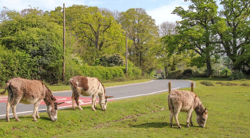 Photo of Riverside House