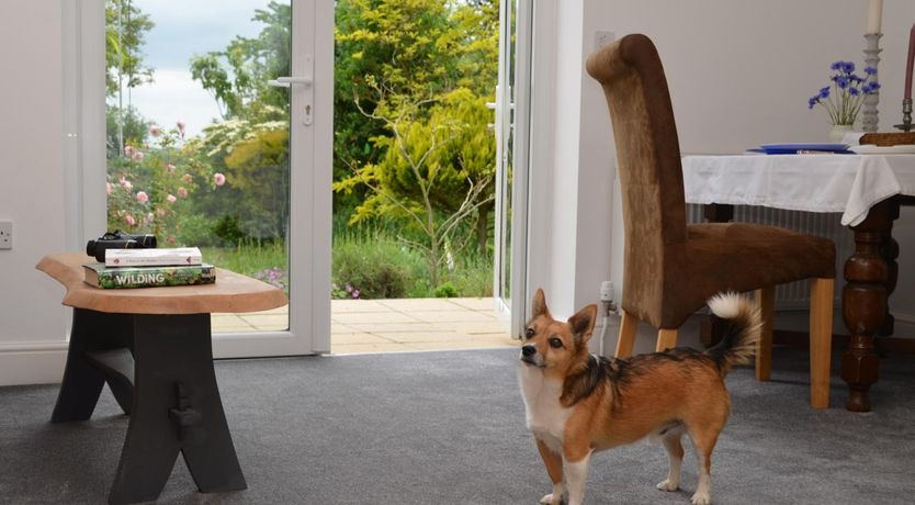 Photo of 1 Bed in Taunton