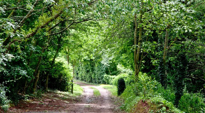 Photo of Oak Lodge, South View Lodges, Exeter