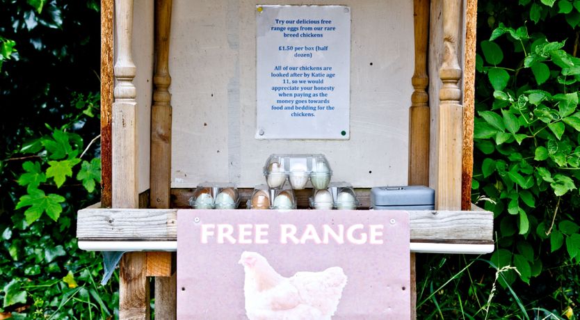 Photo of Oak Lodge, South View Lodges, Exeter