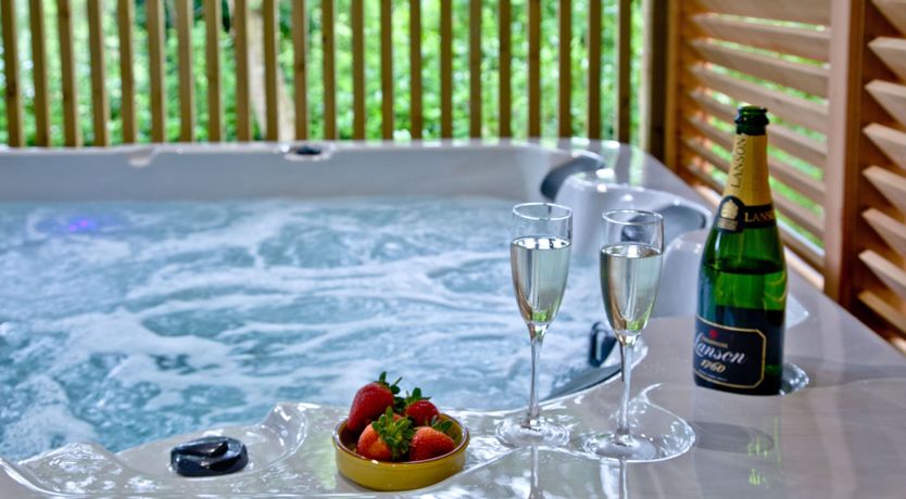 Photo of Cedar Lodge, South View Lodges, Exeter