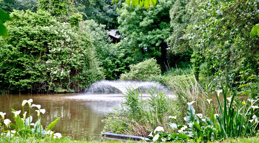 Photo of Kingfisher Lodge, South View Lodges, Exeter