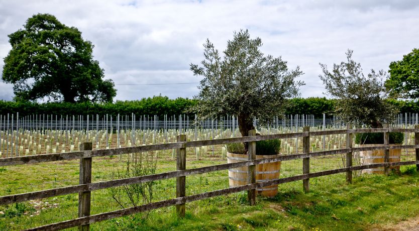 Photo of The Wine Lodge, Kenton Park Estate, Exeter