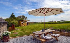 Photo of in Dartmoor National Park  (63337)