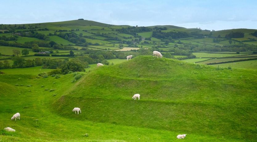 Photo of 9 Bed in Painscastle