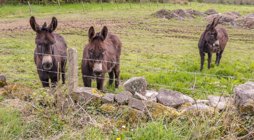 Photo of Sunset View