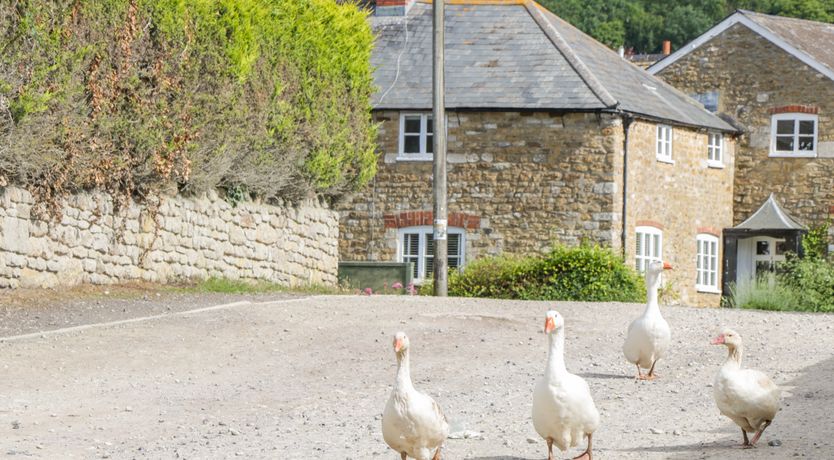 Photo of Market House