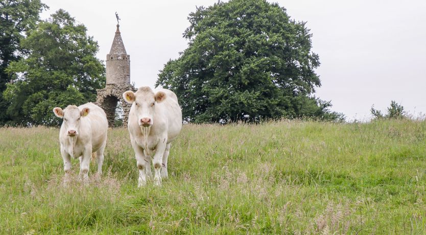 Photo of The Milking Barn