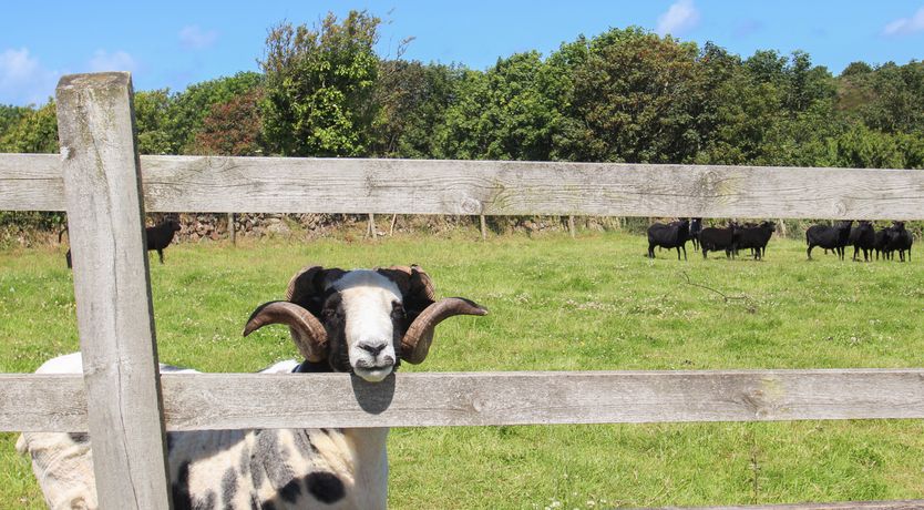 Photo of Sunbury Barn