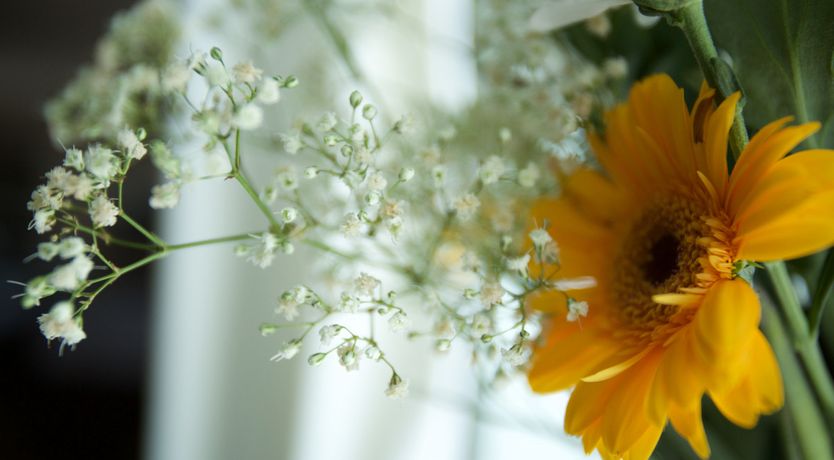 Photo of Ocean Mist - Traditional Irish Home