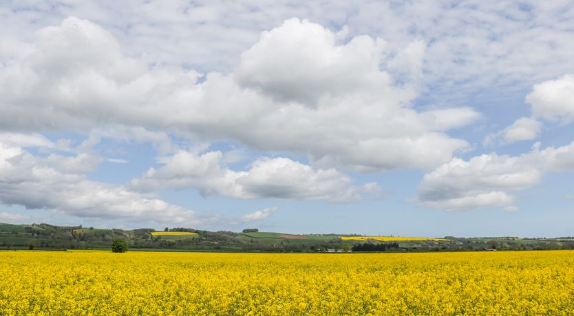 Photo of The Cottage
