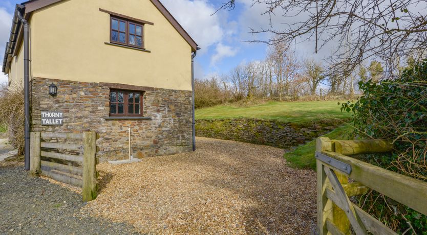 Photo of Thorny Tallet