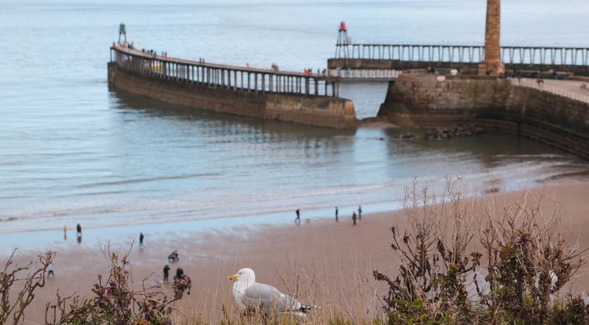 Photo of Estuary View