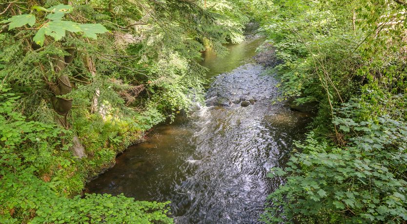 Photo of The Old Mill Holiday Cottage