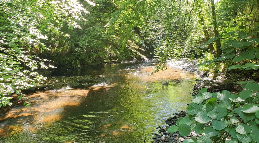 Photo of The Old Mill Holiday Cottage