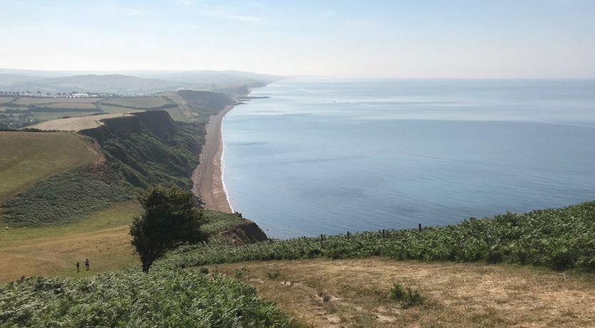 Photo of Cuckoo Cottage