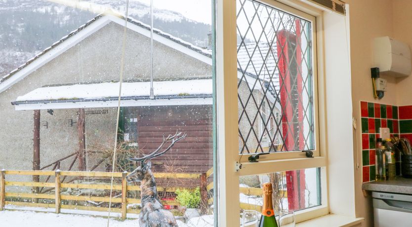 Photo of The Old Mill