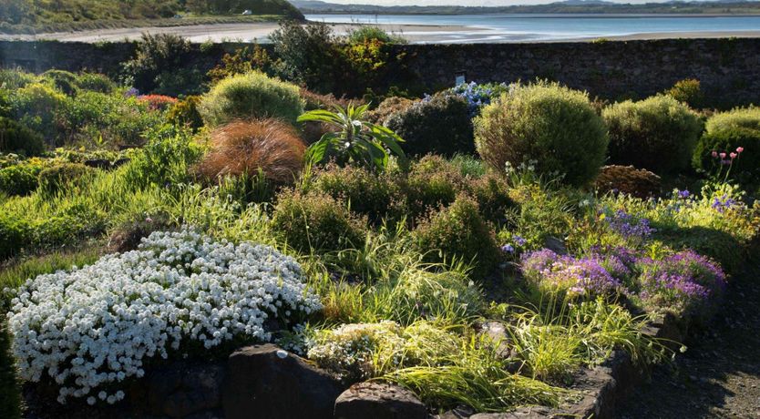 Photo of Lissadell on the Beach