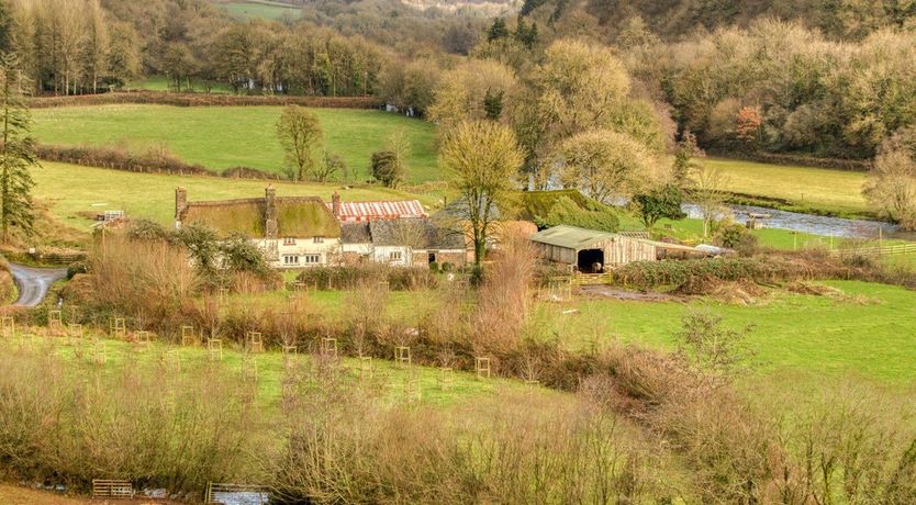 Photo of Cottage in Mid and East Devon