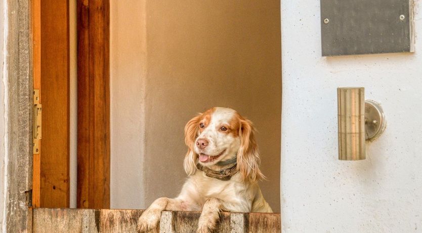 Photo of 2 Bed in Lower Washfield