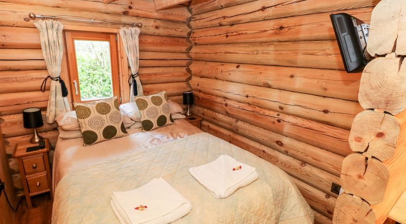 Photo of Little Trees