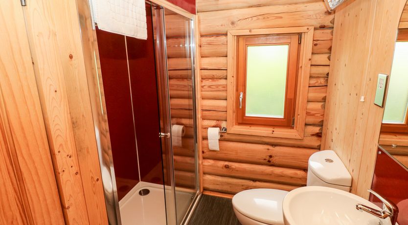 Photo of Little Trees