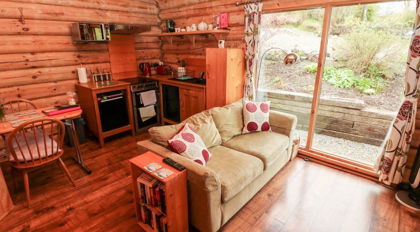 Photo of Little Trees