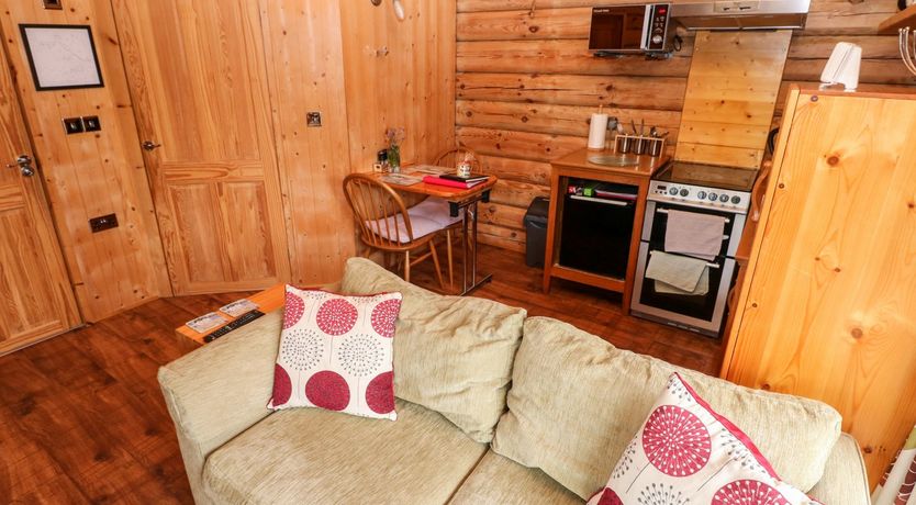 Photo of Little Trees