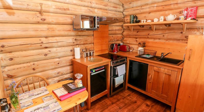 Photo of Little Trees